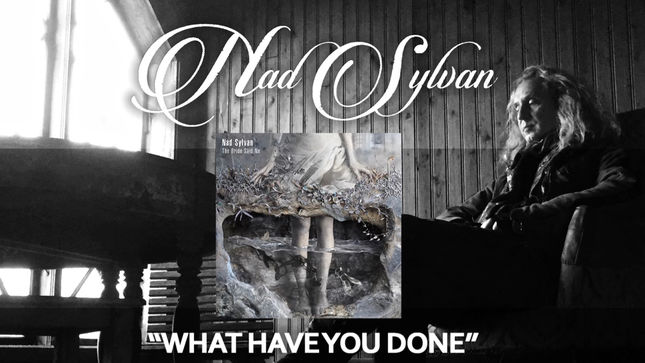 NAD SYLVAN - “What Have You Done” Static Video Streaming