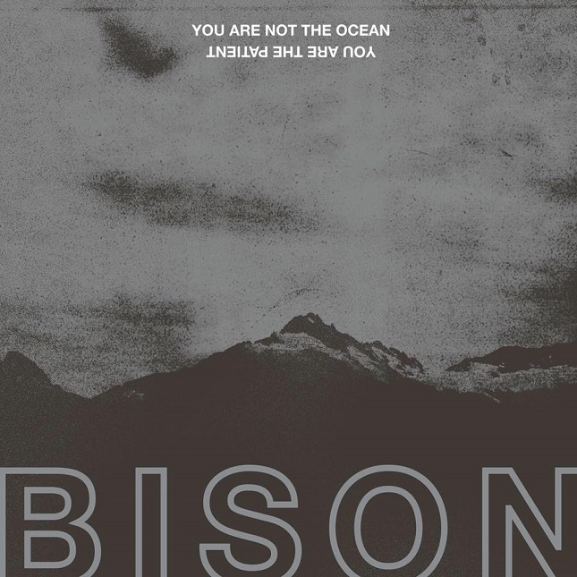 BISON - You Are Not The Ocean You Are The Patient