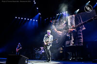 7794B65C-deeppurple-centrebellmontreal-20240827-17.jpg