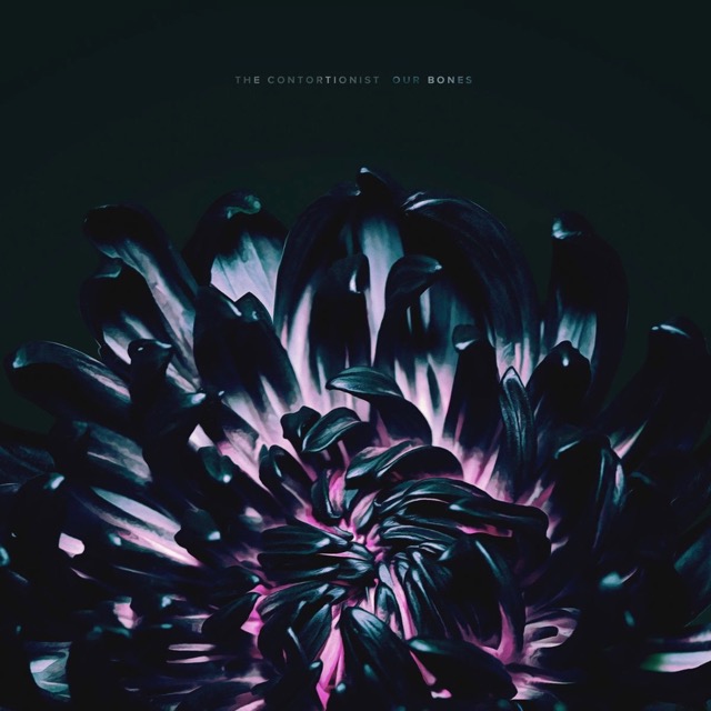 The Contortionist Announce New Ep Details; 