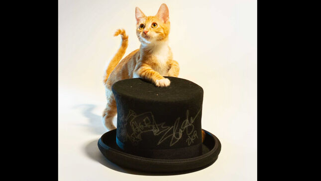 SLASH Donates Autographed Top Hat, Electric Guitar Pack To Benefit Kitten Rescue; Bid Now!