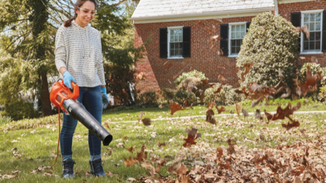 Cordless Leaf Blower: For Professional And Amateur Gardeners