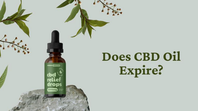 Does CBD Oil Expire?