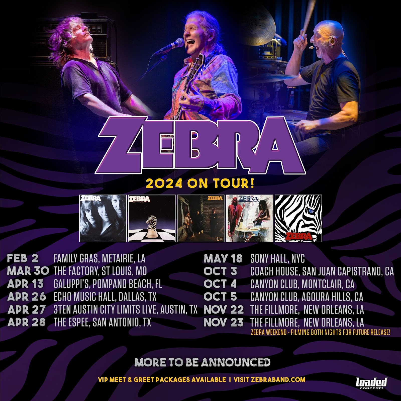 zebra band tour