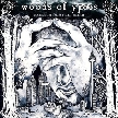 WOODS OF YPRES - Woods 5: Grey Skies And Electric Light