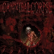 CANNIBAL CORPSE - Torture