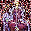 TOOL - Lateralus